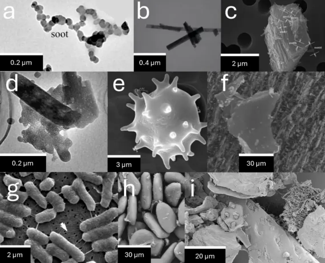 An image showing different particle types