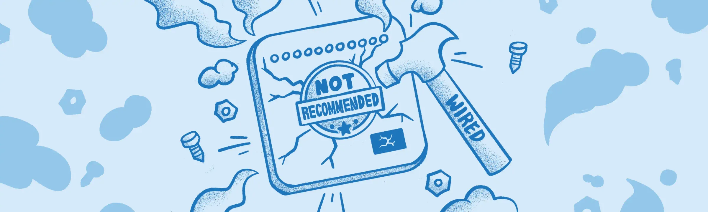 Forest in New Zealand.