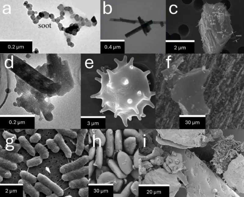 An image showing different particle types