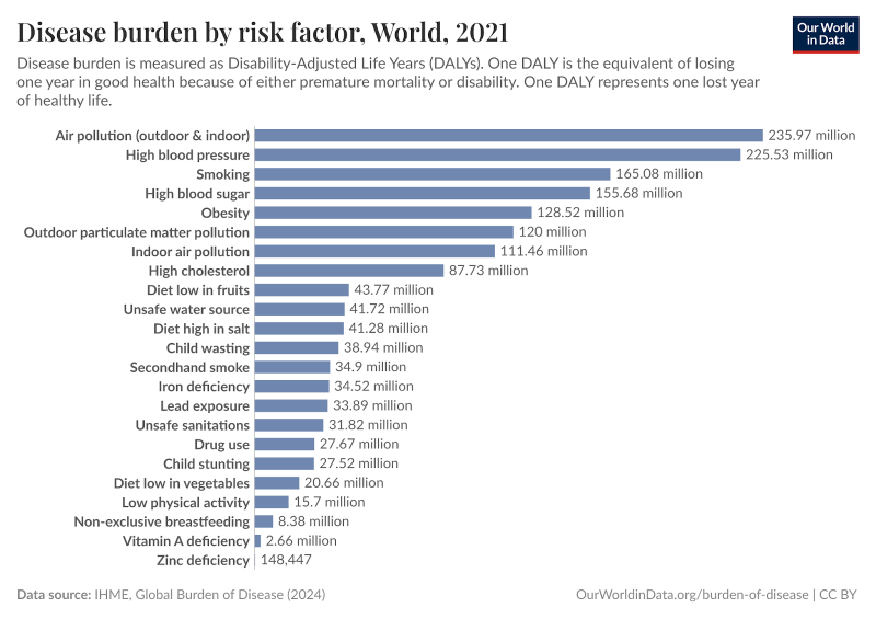 Air pollution ranked as the top risk factor of disease burden in 2021