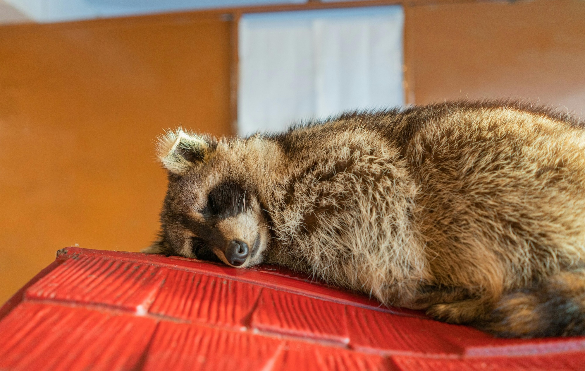 Understanding the Cost of Inaction on Air Pollution